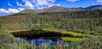 Yukon Wilderness
