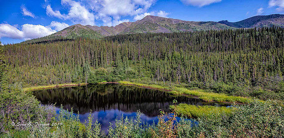 Yukon Wilderness