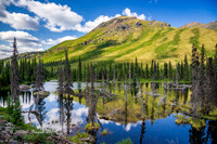 Yukon Wilderness