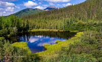 Yukon Wilderness