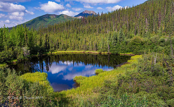 Yukon Wilderness