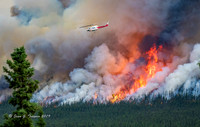 Fire Devastates Yukon Forest
