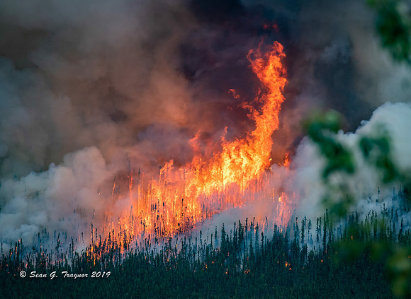 Fire Devastates Yukon Wilderness