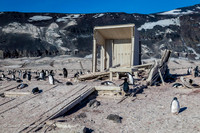 Scott Northern Party Magnetic Hut