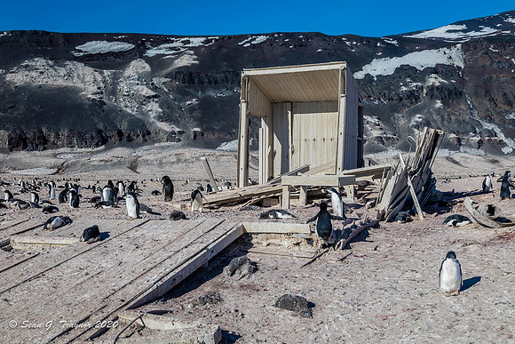 Scott Northern Party Magnetic Hut