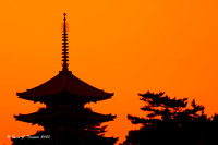 Kyoto Sunset