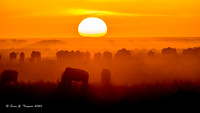 Serengeti Sunset