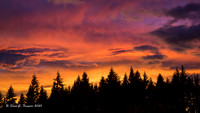 New Zealand Sunset