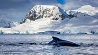 Prospect Point